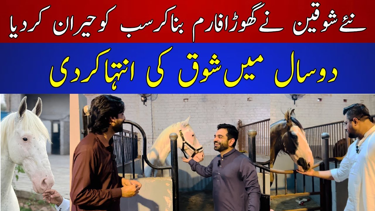 Exclusive Tour of Lahore's kingdom Club Stables || Stunning Horse Farm Inside Look | Desi Horses Pak