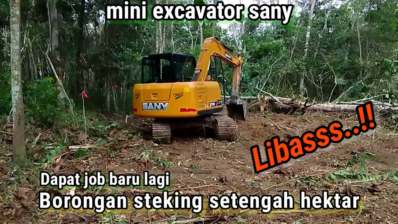 Sany sy75c dapat Borongan lagi Steking setengah hektar buka lahan sawit