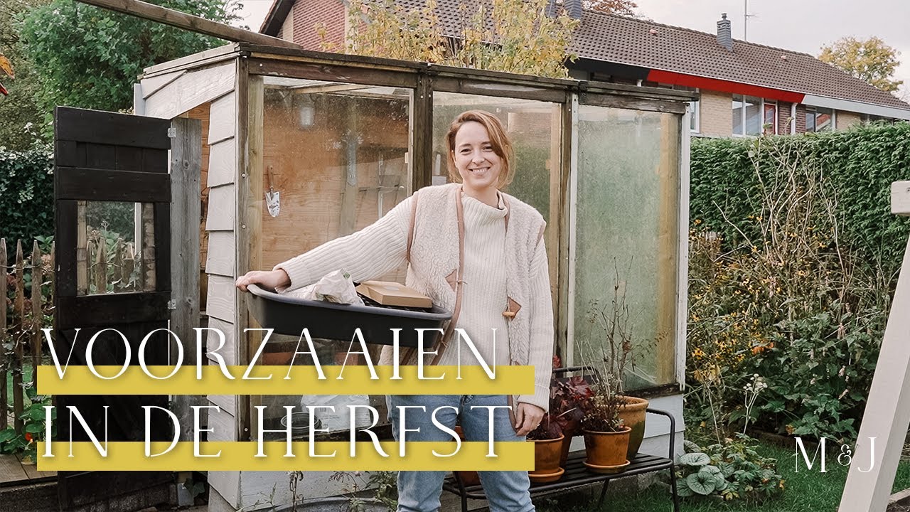 Voorzaaien in de herfst - MAY & JUNE