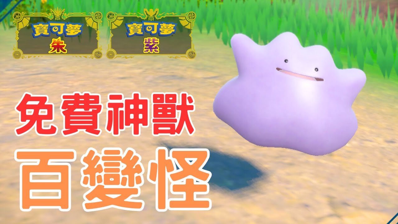 當我有兩個神獸，而你只有一個，你怎麼跟我鬥？【寶可夢朱紫】雙打講解 #寶可夢對戰 #nintendoswitch