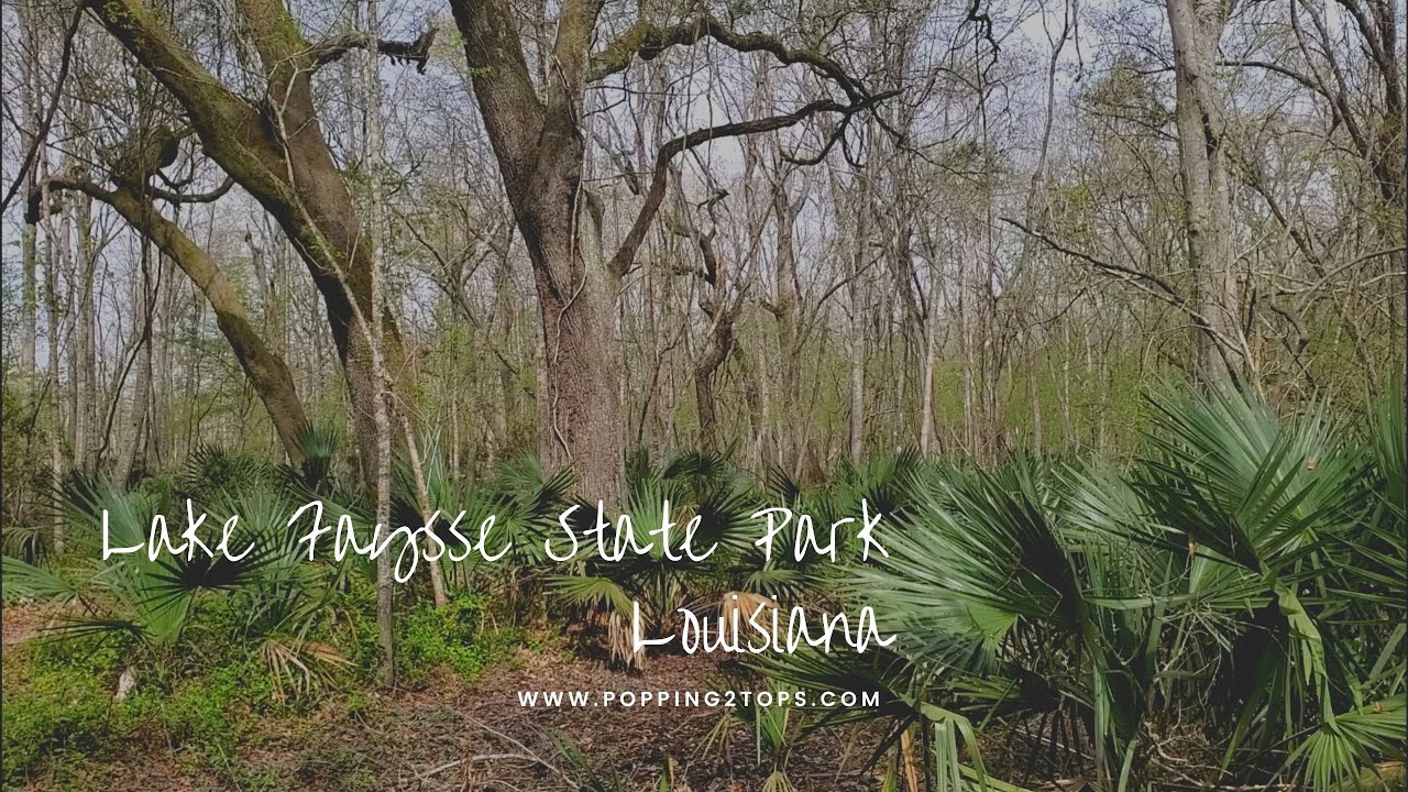 Lake Fausse State Park | Louisiana | Relaxing Close t Home
