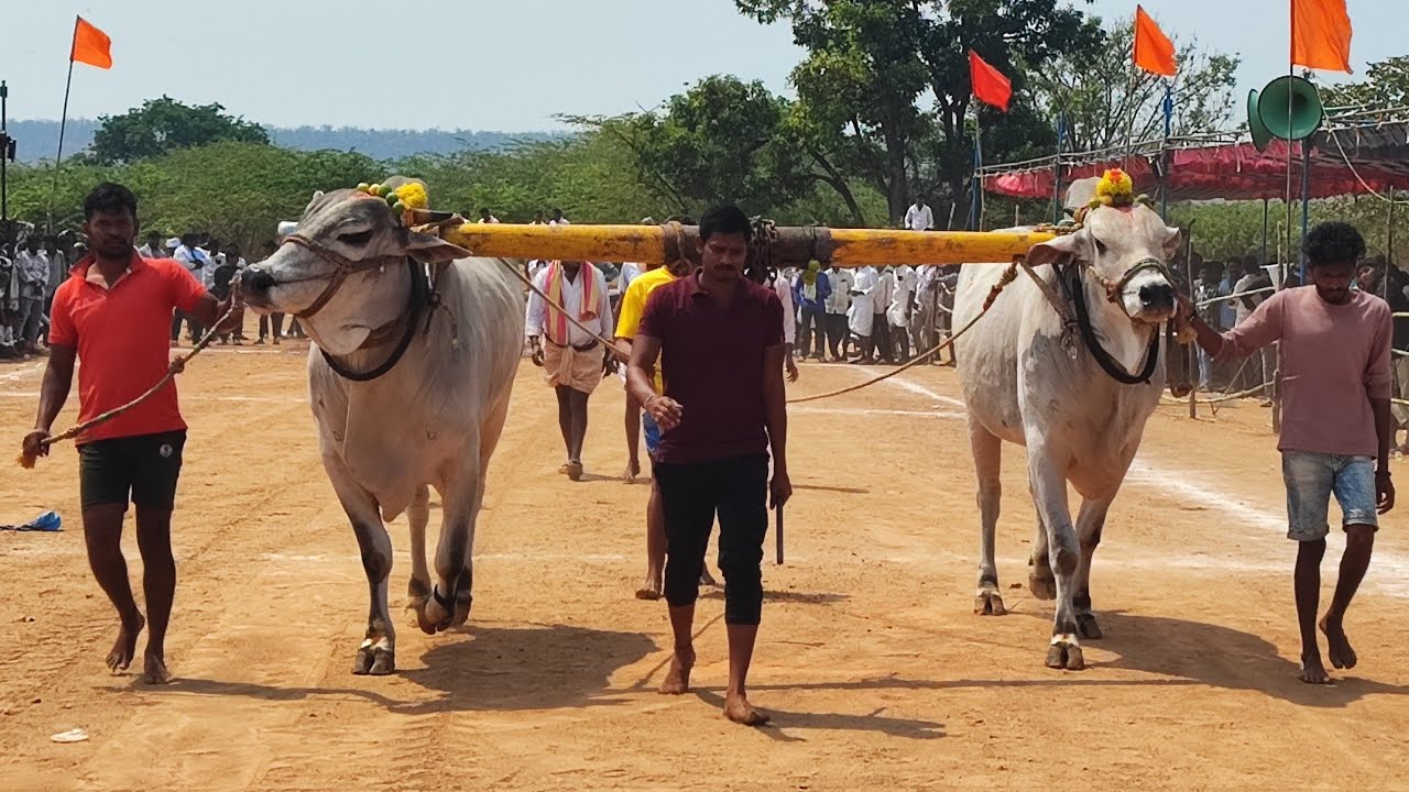అహోబిలం  న్యూ కేటగిరి విభాగంలో 9వ జత నక్కల వెంకటేశ్వర్లు బ్రదర్స్