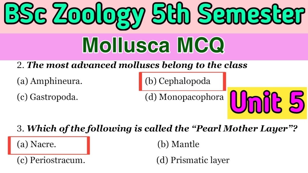 Mollusca MCQ | Unit 5 | 5th Semester Zoology | BSc 3rd Year Important Questions