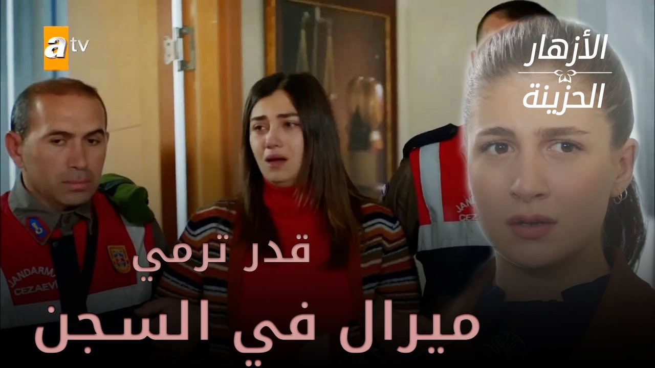قدر ترمي ميرال في السجن - الأزهار الحزينة