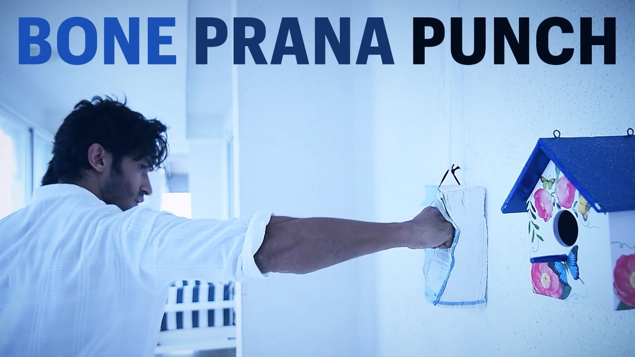 The Bone Prana Punch 