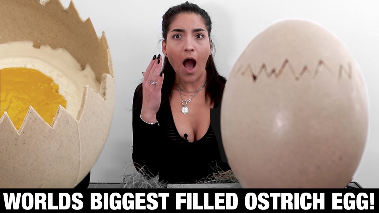 BRITAINS BIGGEST Filled Chocolate Ostrich egg Challenge! | GirlVsfood | #Shutkeverofficial