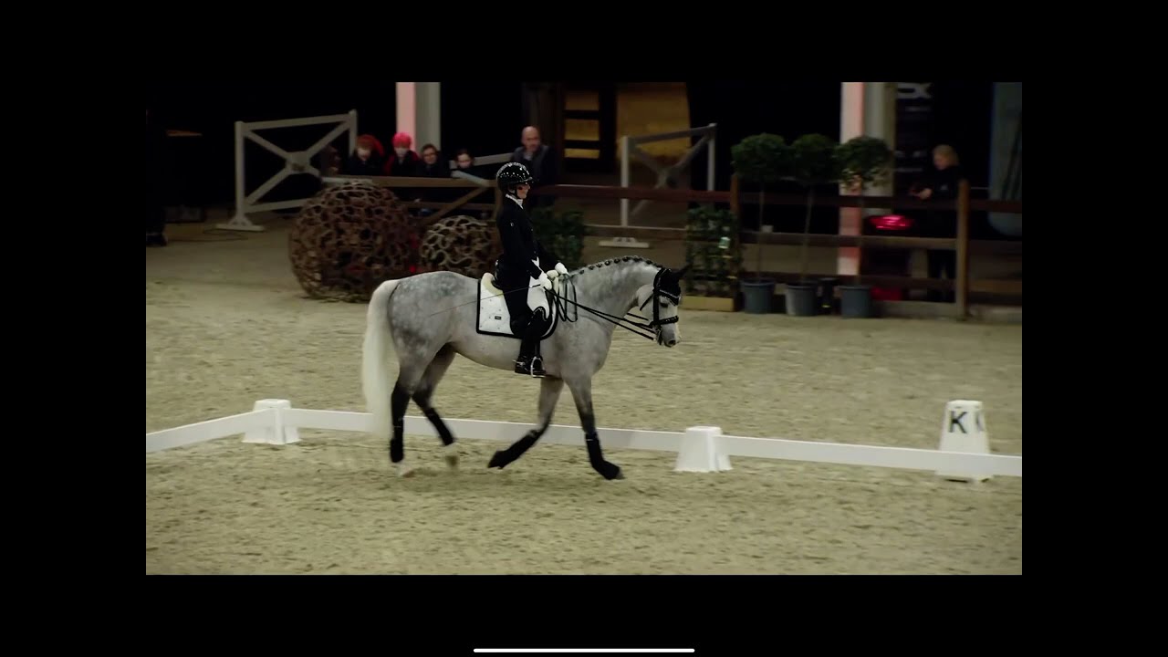 Benefit at the BWP Stallion Show