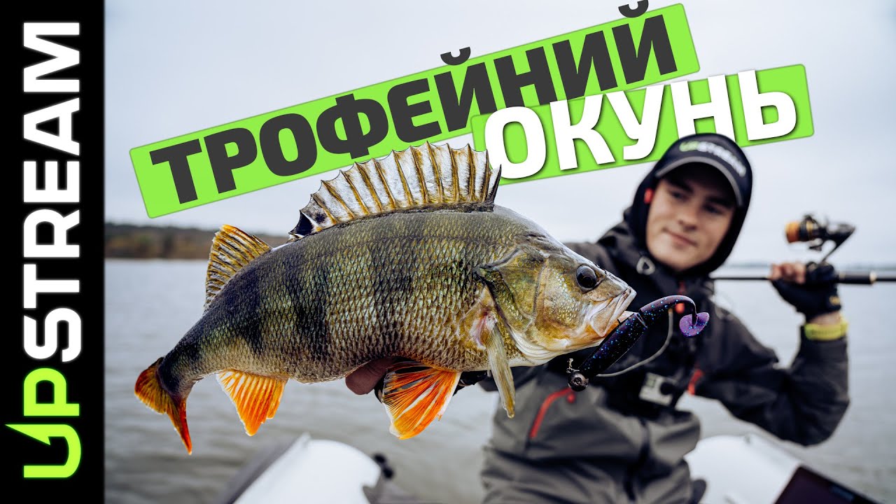 ТРОФЕЙНИЙ ОКУНЬ. 4 види риби. FUSION 4