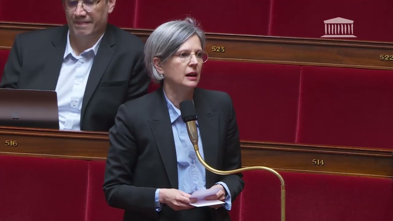 Aide à mourir : Sandrine Rousseau interpelle sur l'usage des termes 