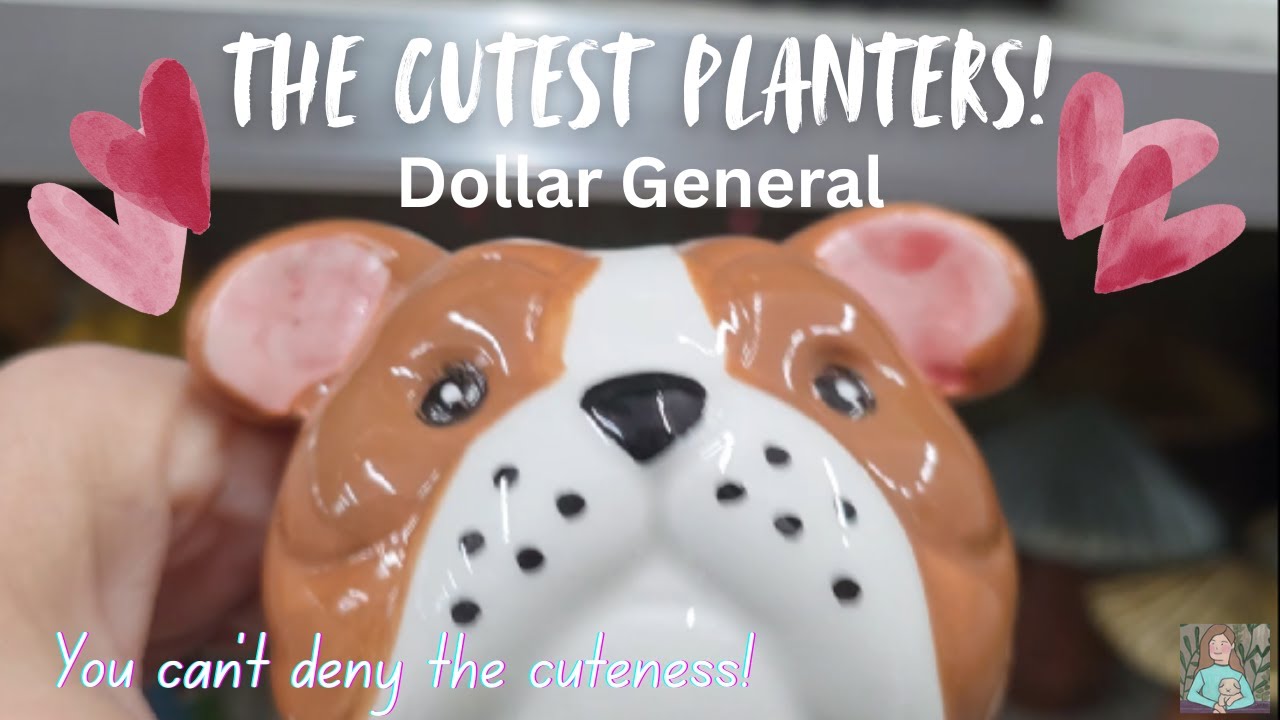 Adorable Planters at Dollar General