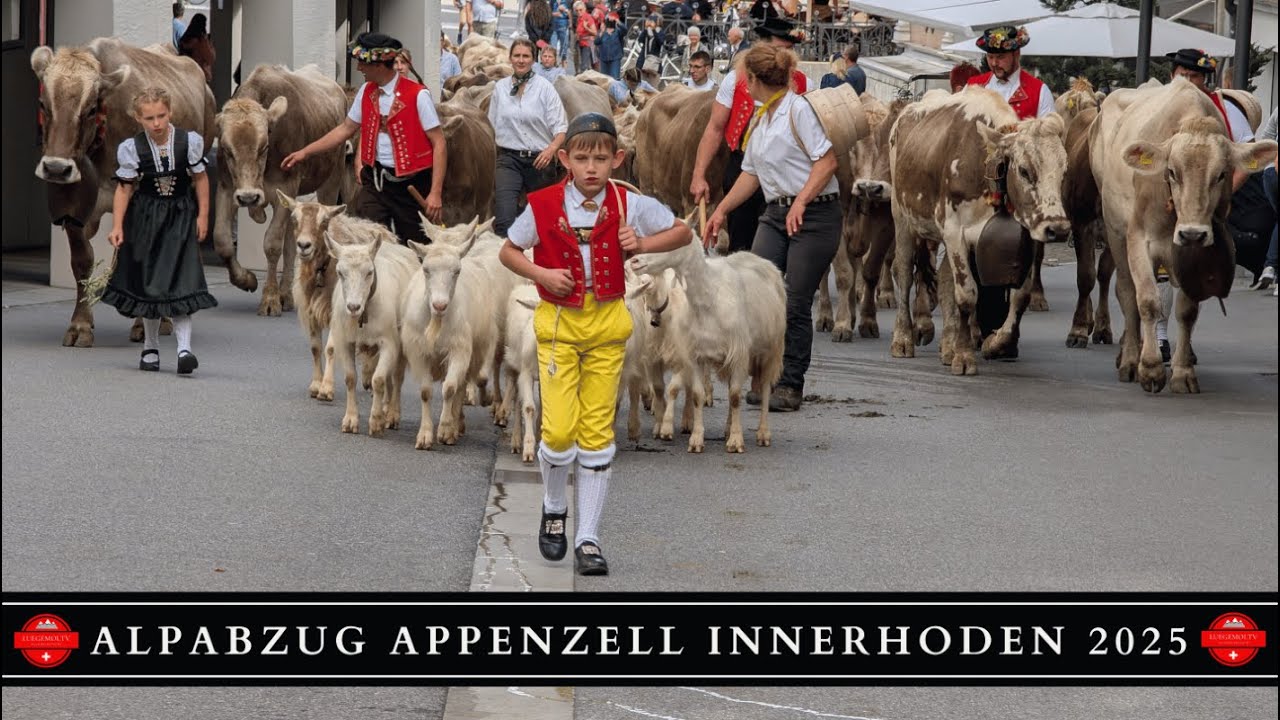 Alpabfahrt Appenzell Innerhoden 2025