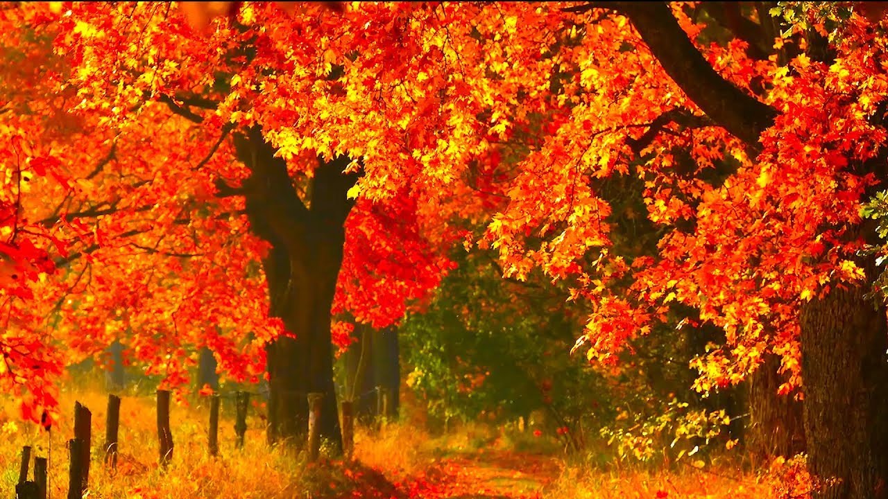 Autumn Fall Scenery,  Peaceful Hymn piano Music, 