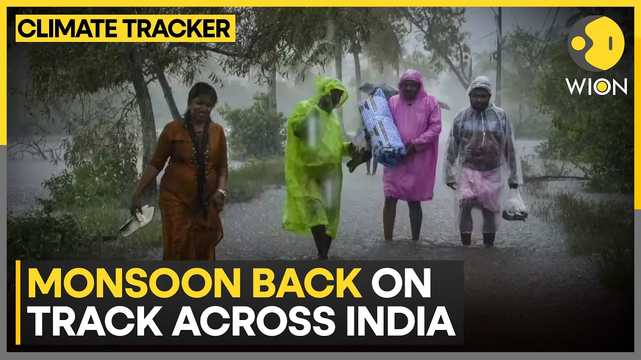 IMD Warns of Intense Rainfall Across India | WION Climate Tracker