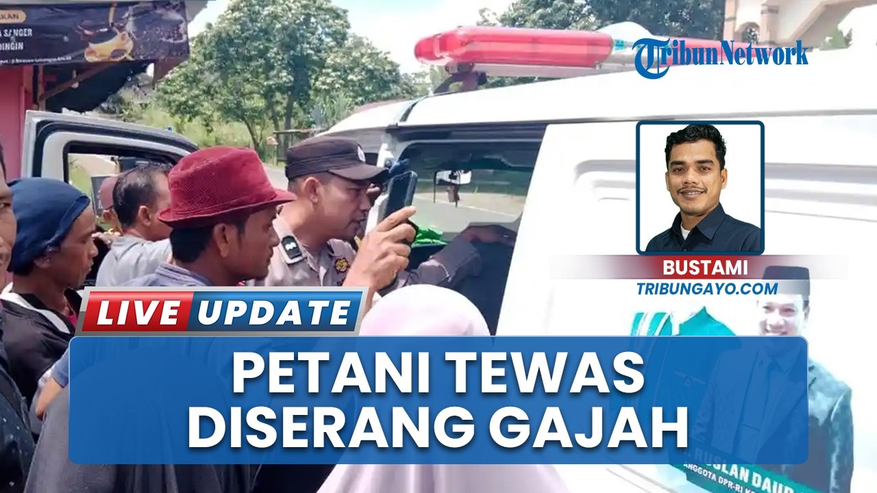 Petani Tewas Diamuk Kawanan Gajah saat Usir dari Kebun di Bener Meriah, Terinjak di Perut