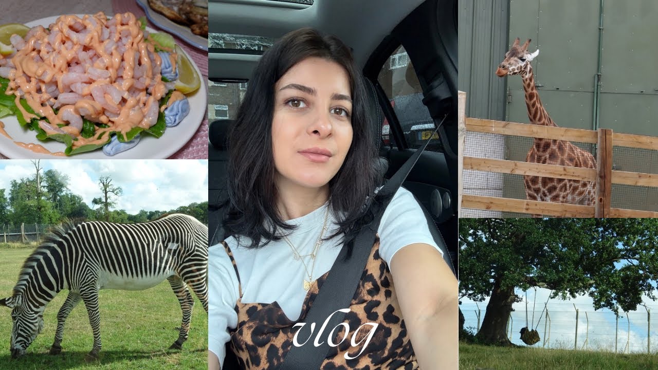 VLOG 🎥// Nje vizite e papritur 🤭 gatime 👩🏻‍🍳 dhe shume surpriza 🎁