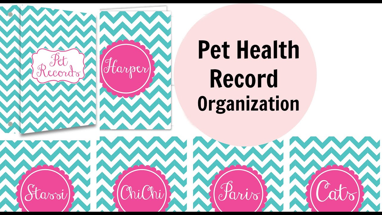 PET HEALTH RECORDS- ORGANIZATION