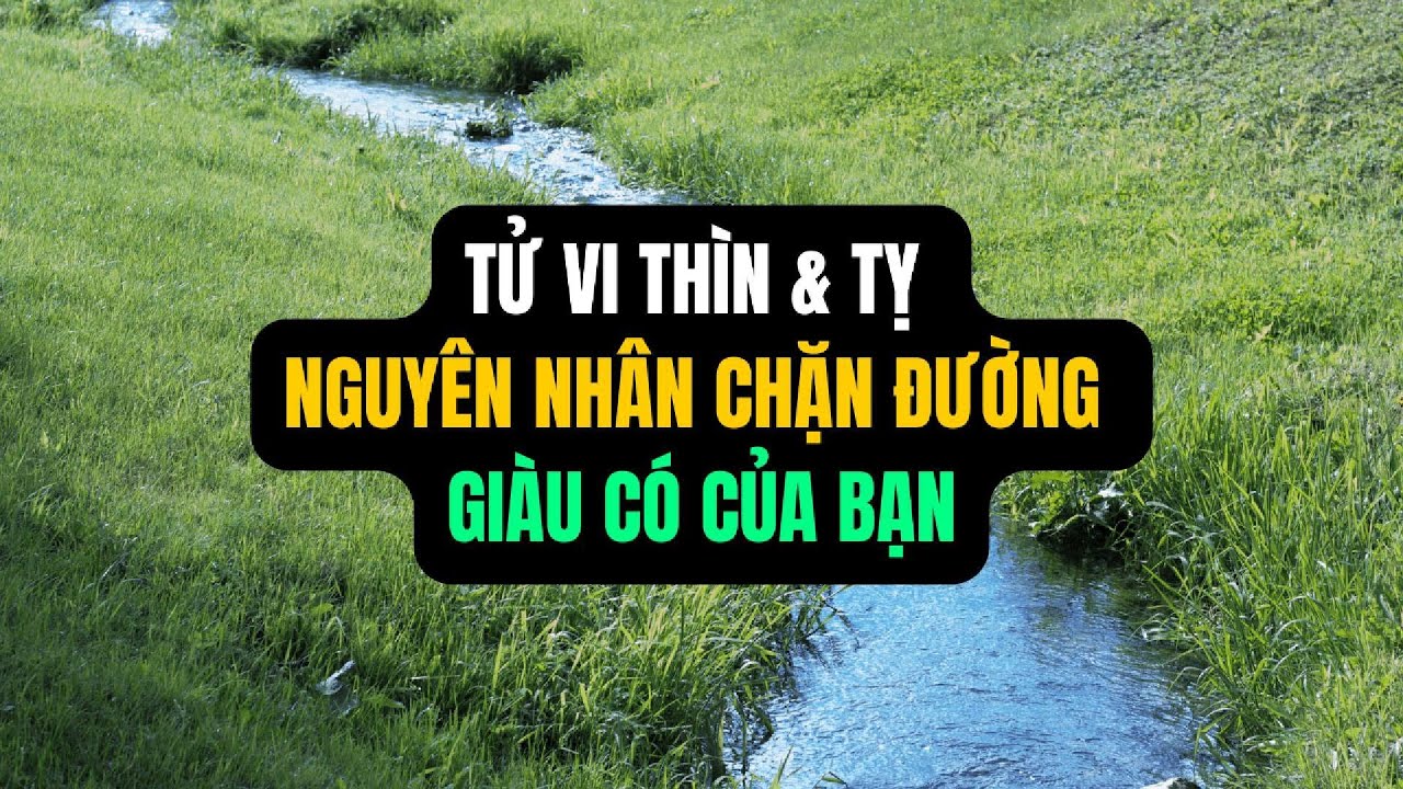 TỬ VI TUỔI THÌN VÀ TỴ: Tại sao bạn quá giỏi nhưng chưa giàu?