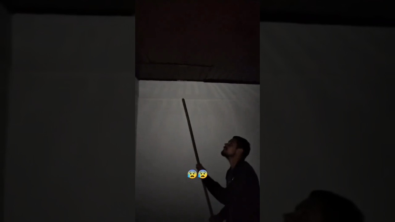 Он прятался у них в потолке.. #страшно