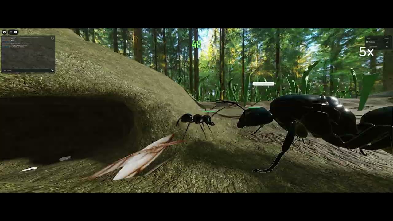 Ant life