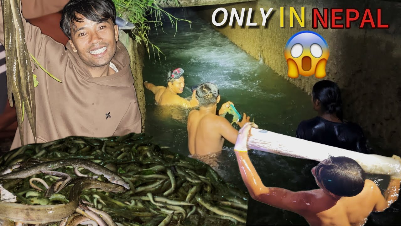 ANAUTHO TARIKA BATA BAAM🐍 MACHA SAMATIYO 😱😱|| PART-1 || Eel FISH SEASON ||