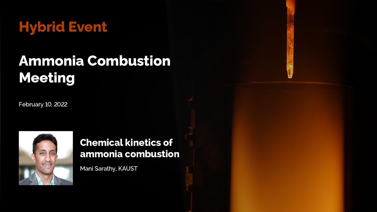 Chemical kinetics of ammonia combustion | Ammonia Combustion Meeting