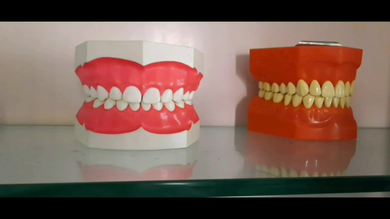 MAMATA DENTAL COLLEGE...CAMPUS VEDIO 🦷❤