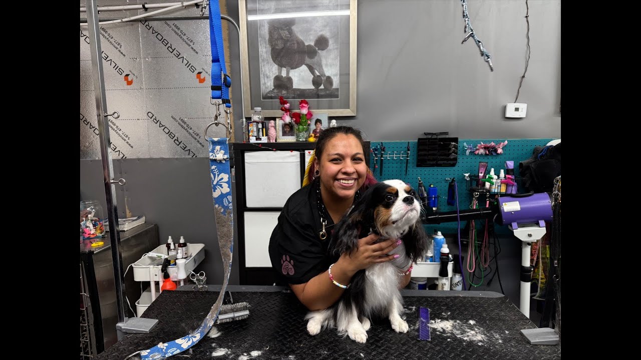 Paws and Pads with Brianna