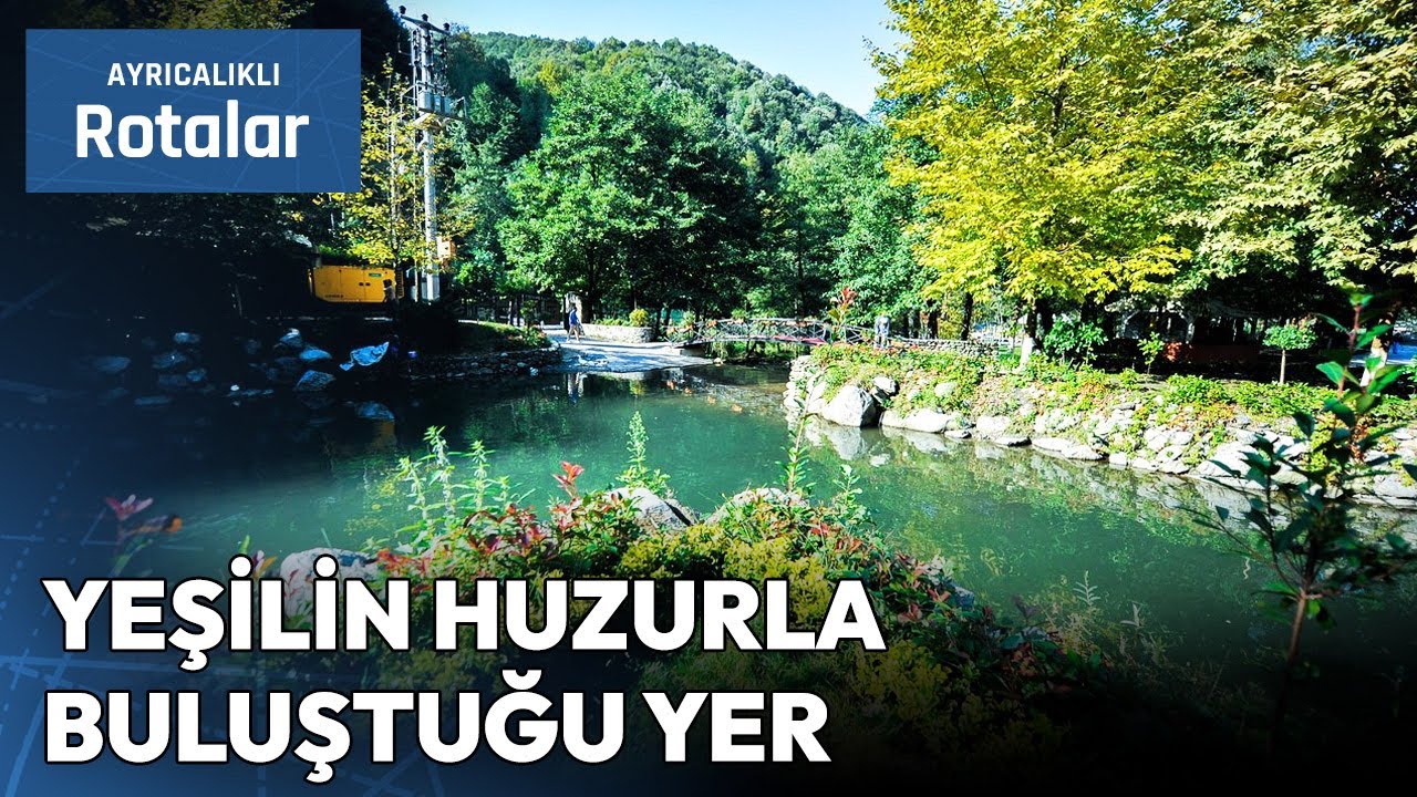 Eşsiz Doğasıyla Büyüleyici Bir Kaçış Noktası: Sapanca | Ayrıcalıklı Rotalar
