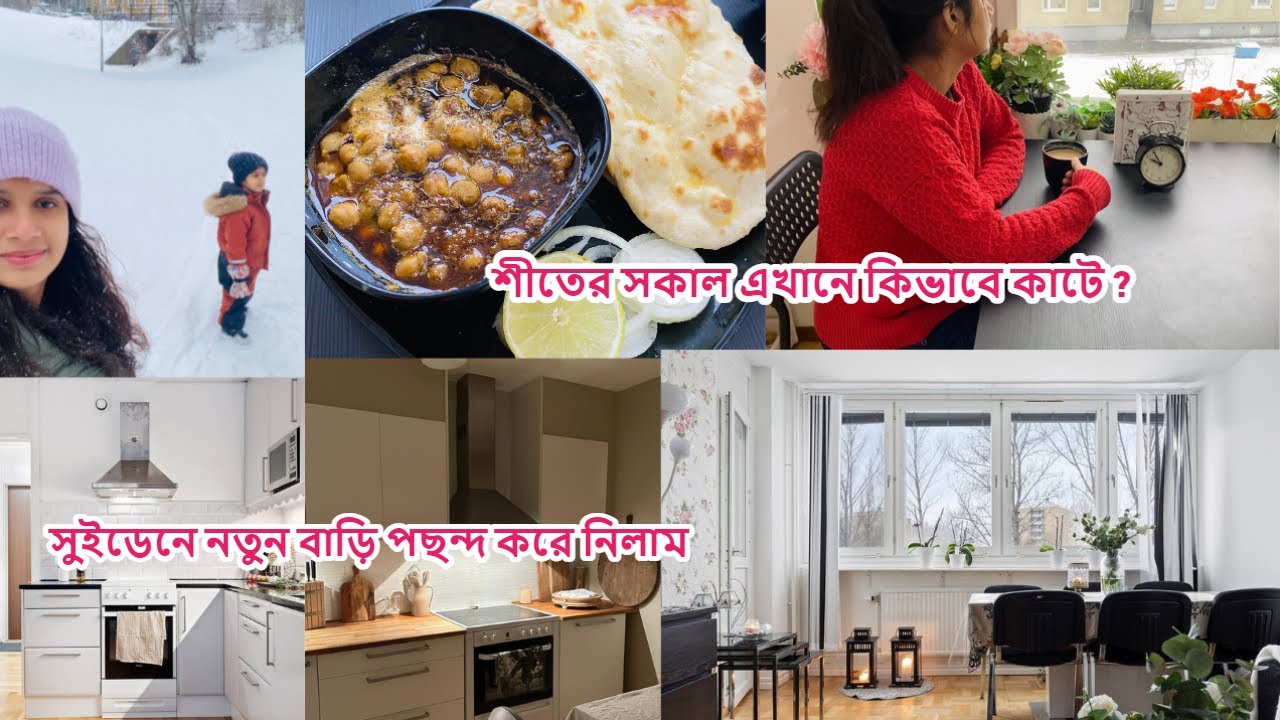 শীতের সকাল কিভাবে কাটে? সুইডেনে নতুন বাড়ি কেনার পর্ব #sweden