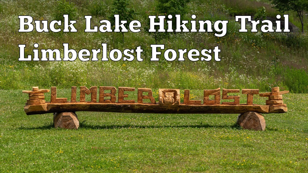 Buck Lake Hiking Trail At Limberlost Forest