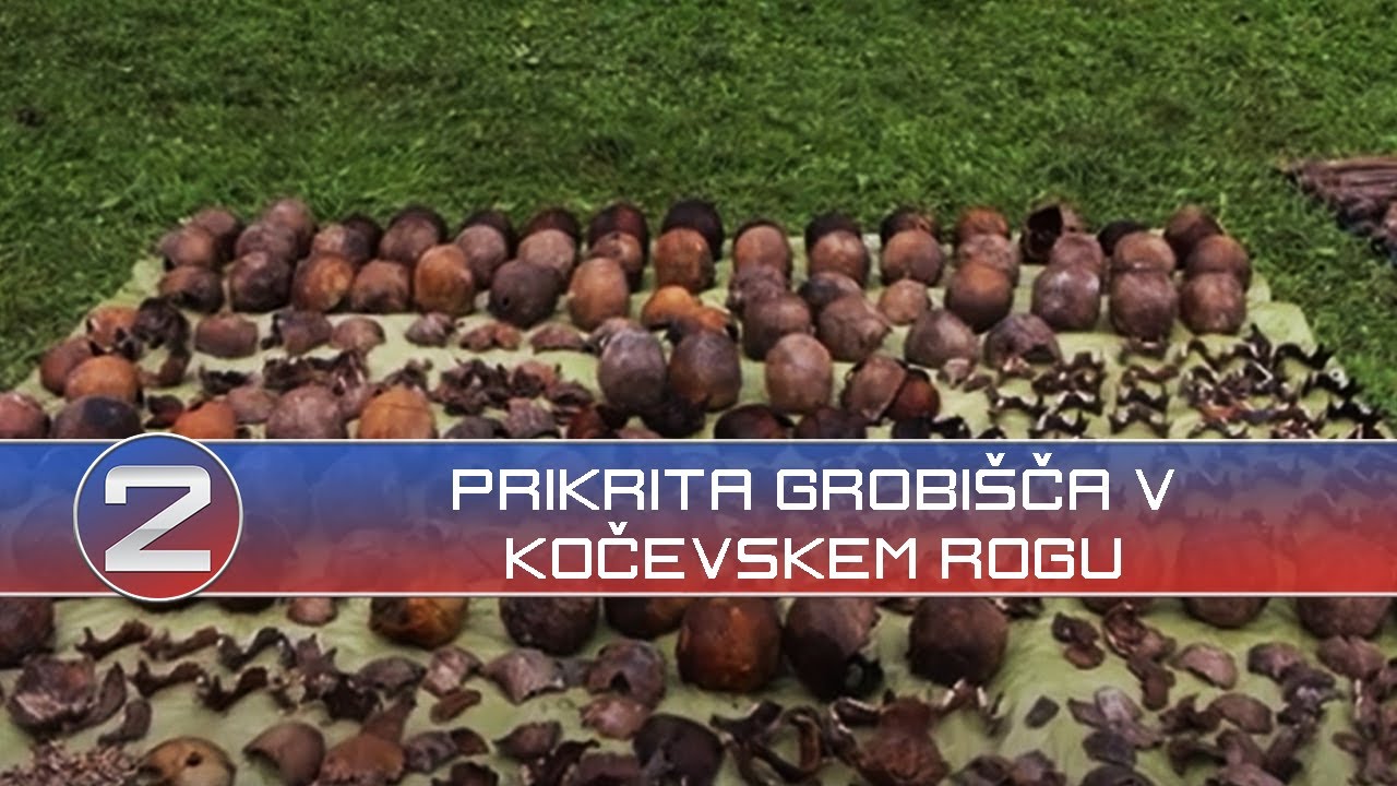 Novinarska konferenca o ekshumaciji umorjenih iz brezna 3 v Kočevskem rogu (24. 8. 2020)