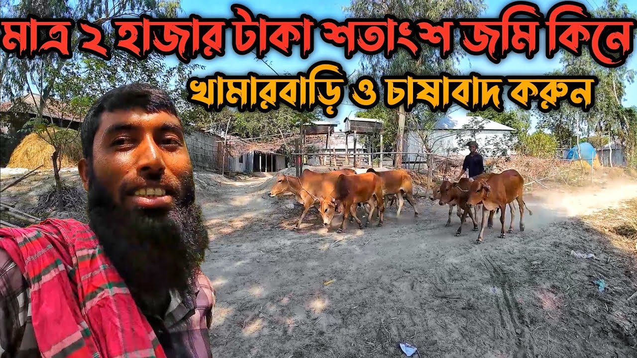 এত কম দামে জমি এখন পাওয়া যায় না | পানির দামে জমি কিনে ও ভাড়া নিয়ে খামারবাড়ি করুন