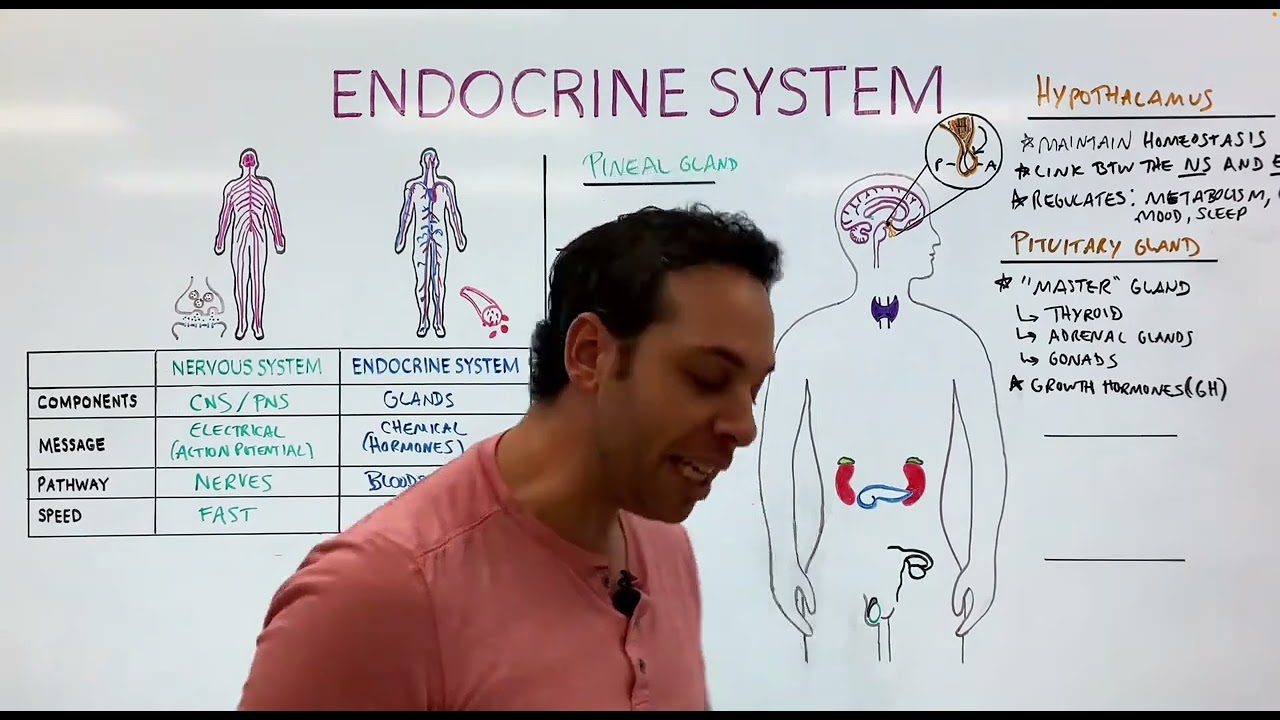 Ch 9 Endocrine Conditions