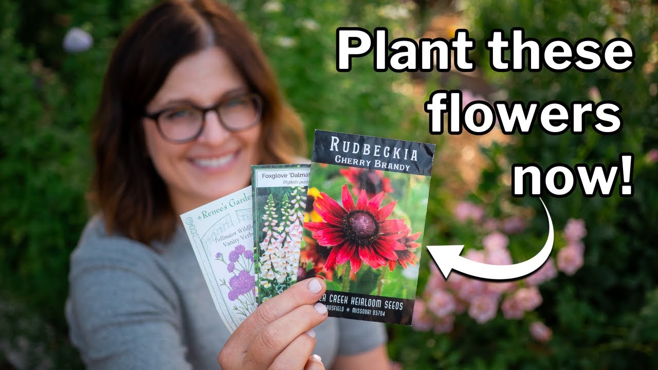 Start Seeds NOW for a BEAUTIFUL SPRING: Cool-Season Hardy Annual Flowers