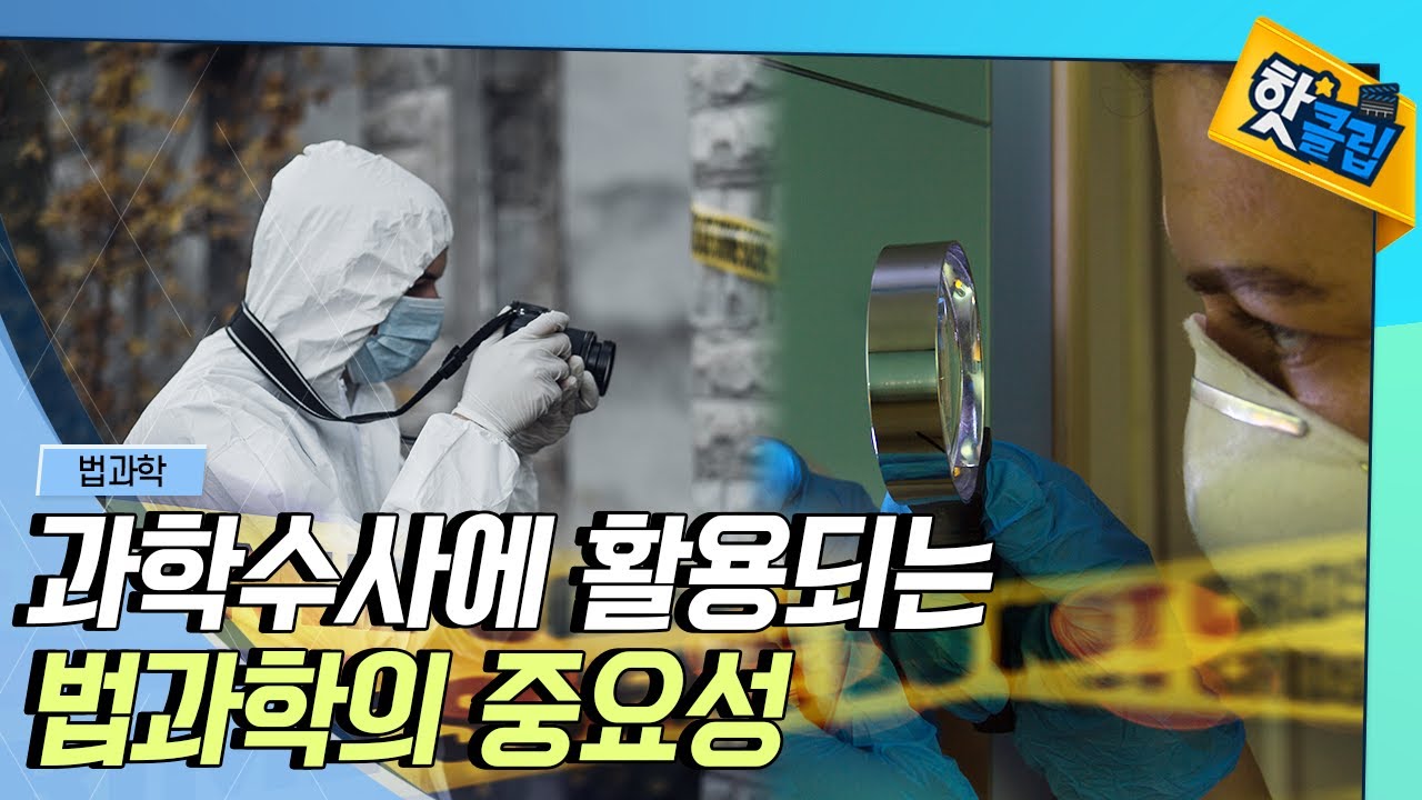 [핫클립] 한국 과학수사를 이끌어가는 법과학 / YTN 사이언스
