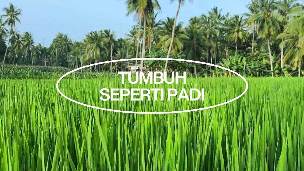 Tumbuh Seperti Padi | Special Perform Harlah NU 