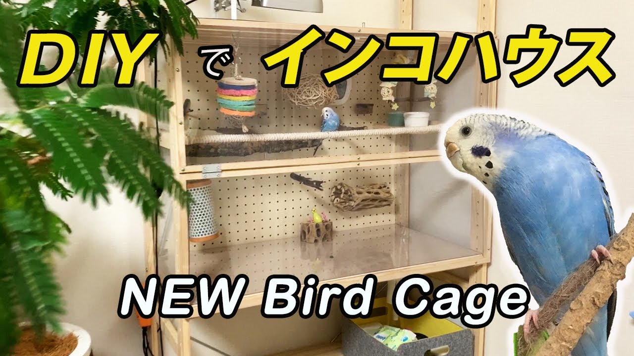 【手作り】セキセイインコの広々ケージ New Bird Cage Set Up.