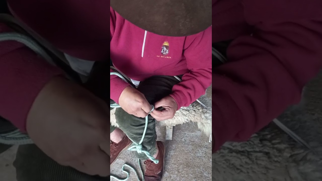 O BUÇAL DO BRUXO