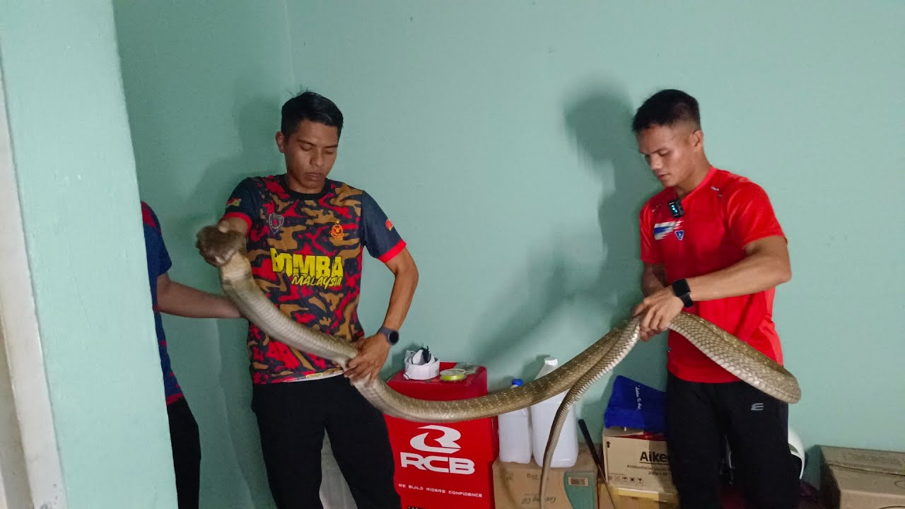 PUASA KE 20 | SANG RAJA CEROBOH RUMAH BUJANG