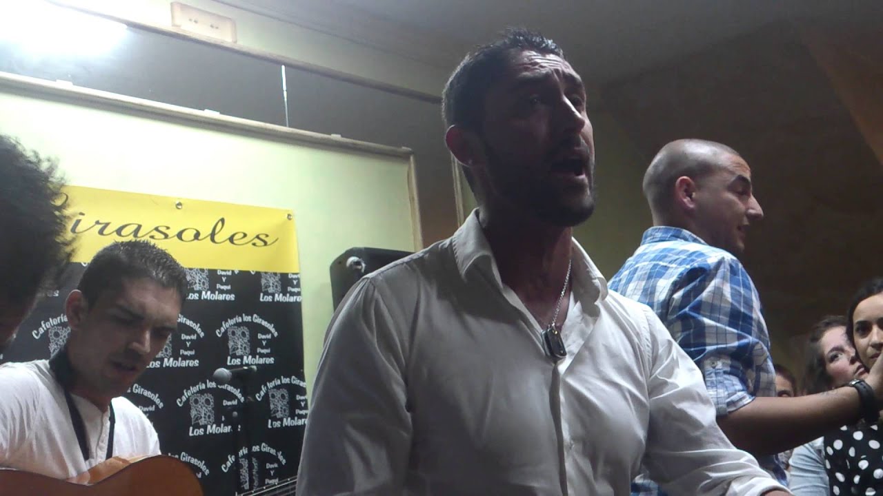 Los cristalitos, Una bandera es un presente