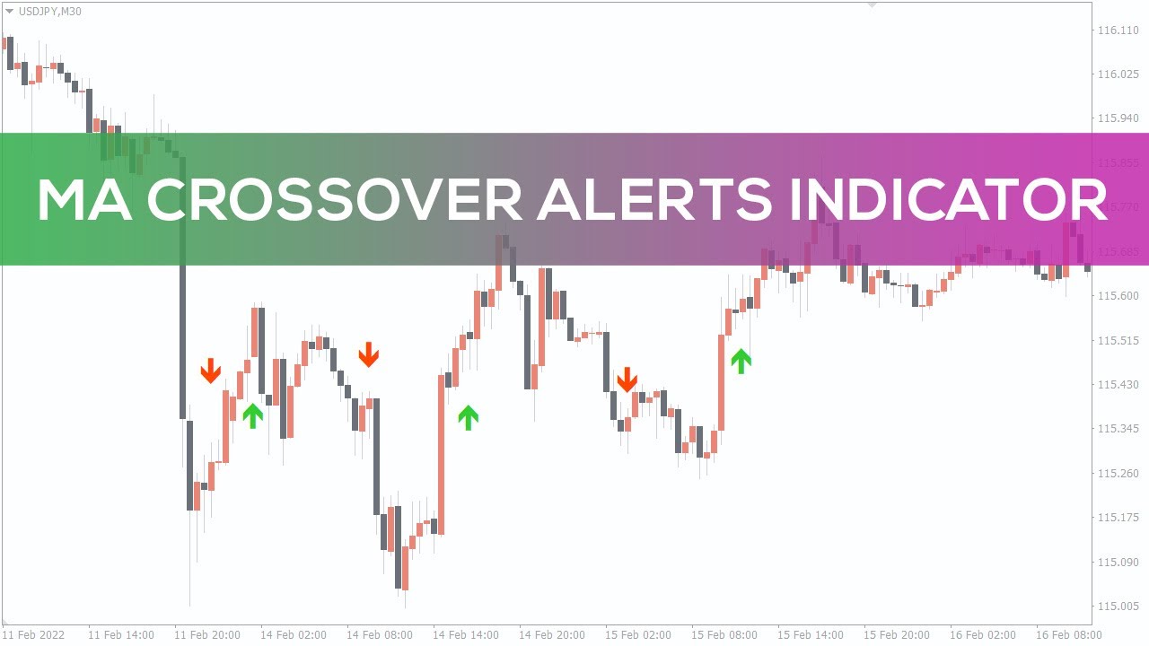 MA Crossover Alerts Indicator for MT4 - FAST REVIEW
