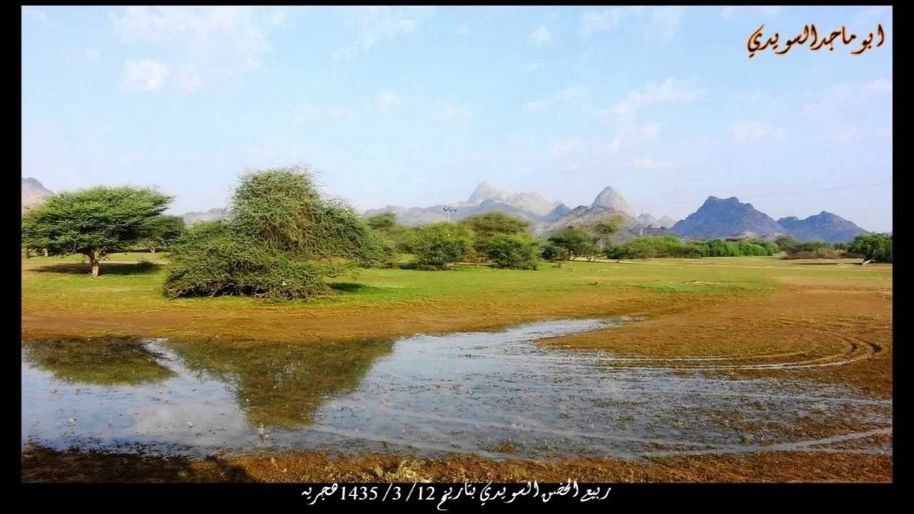 الرميضه/ روائع صور ربيع تهامه زهران