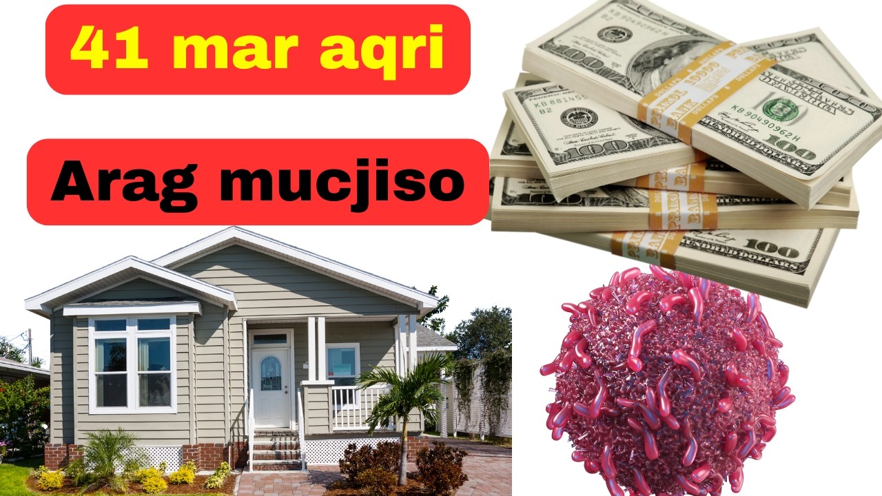 41 mar aqri kadib arag mucjiso || maanta kadib kama tagi doontid suuradaan || qisas al_digrii||