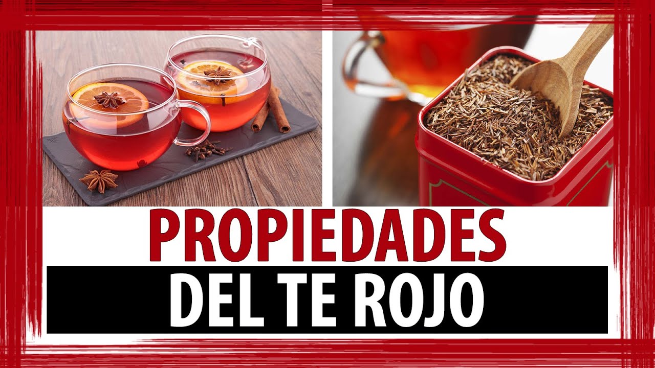 PROPIEDADES DEL TE ROJO |  PARA QUE SIRVE EL TE ROJO