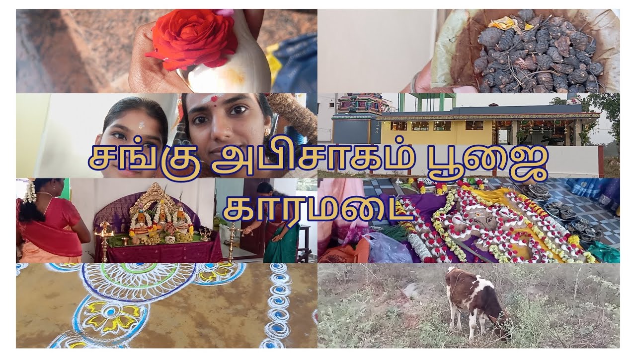 எங்க ஊரு சங்கு அபிசாகம் பூஜை பாக்கலாமா ?#loguwithkiruba #sangue #poojai #vinayaka #velvi #love #yt 