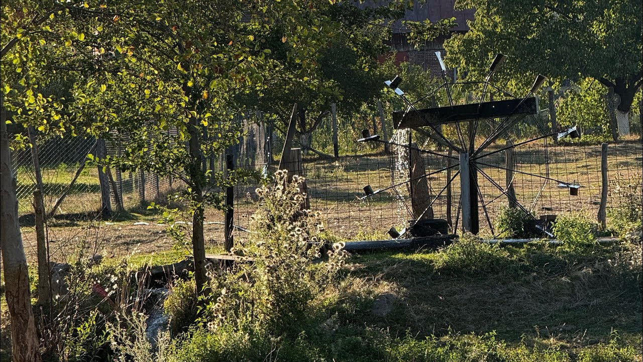 nature walks heal me