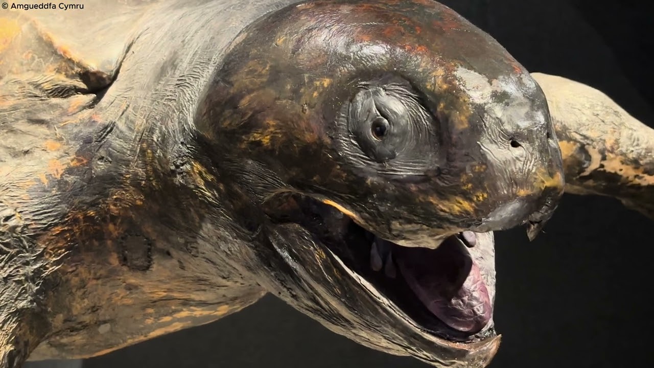 Build the Change: Protect the Ocean at National Museum Cardiff