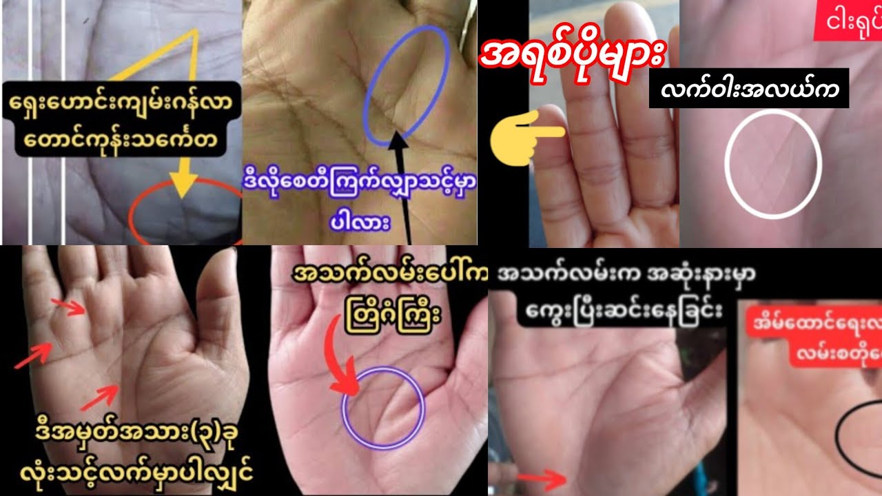ရှားပါးသော သောကြာဂြိုဟ်ခုံက ရှေးဟောင်းကျမ်းလာ တောင်ကုန်းသင်္ကေတ....