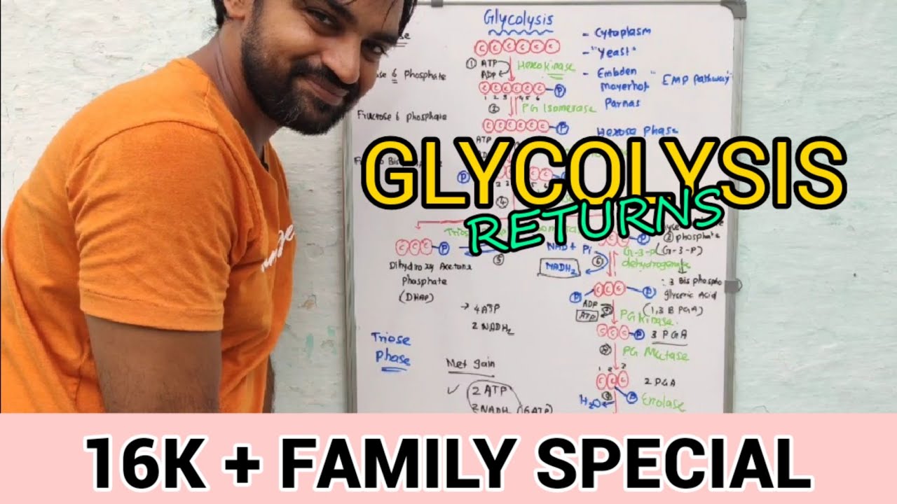 Glycolysis | Explained | Senthilnathan | Tamil