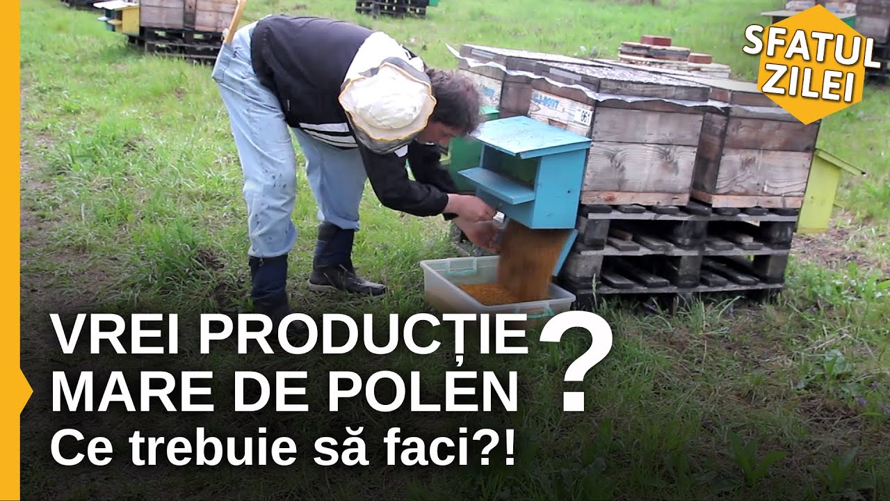 Vrei productie mare de polen ?